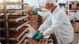 Food Manufacturing & Processing