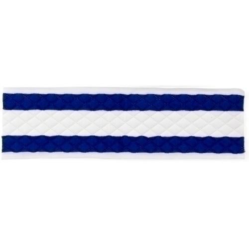 MICROWORKS  DISPOSABLE CLEANING PAD  WHT BLU XL 17  16DZ CS