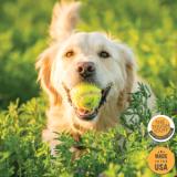 The Tough Stuff® Skunked!® Deodorizing Pet Shampoo, Fresh Scent - Gallon 830SHP 6