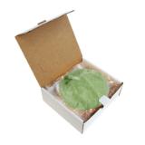 Hospeco® AirWorks® Urinal Screen, 10/bx, Herbal Mint AWUS002 BX 4