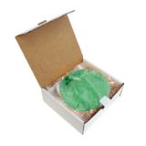 Hospeco® AirWorks® Urinal Screen, 10/bx, Evergreen AWUS005 BX 4
