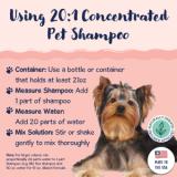 Bobbi Panter® Signature Gorgeous Dog® Brightening & Whitening Shampoo - 13 oz. BP00000 4