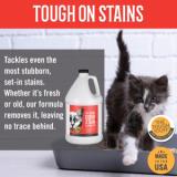 The Tough Stuff® Cat Urine Odor & Stain Eliminator - Gallon P128CUR 3
