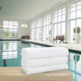 Hospeco™ Power Gym Towels, 22
